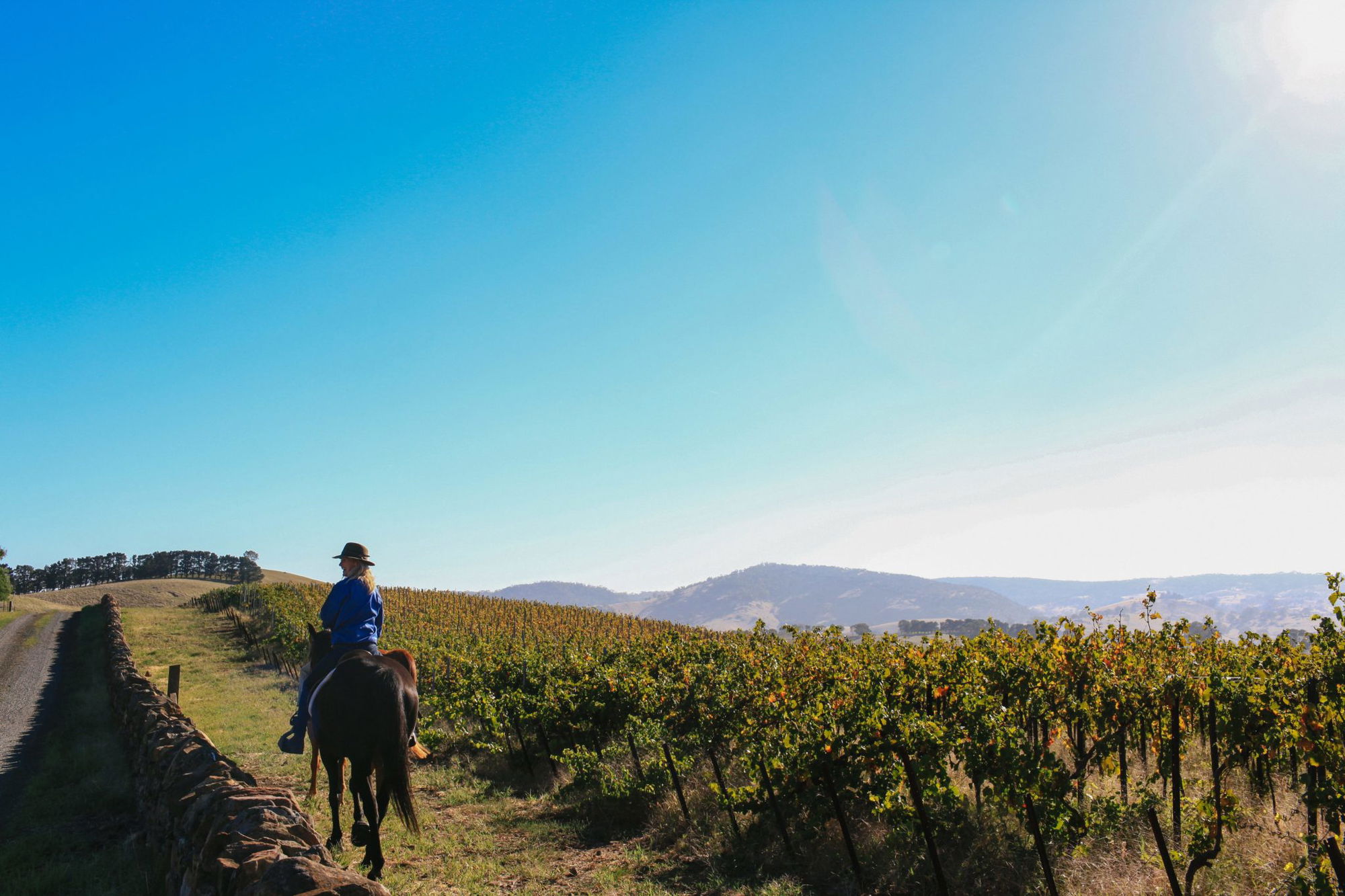 horse riding holiday Barossa Valley