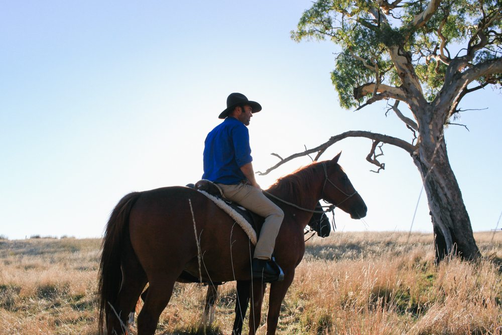 horse riding holiday Barossa Valley