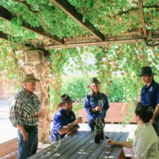 horse riding holiday Barossa Valley