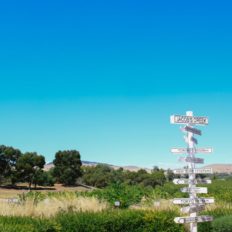 horse riding holiday Barossa Valley
