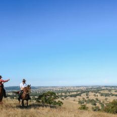 horse riding holiday Barossa Valley