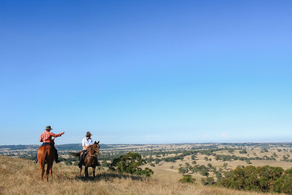 horse riding holiday Barossa Valley
