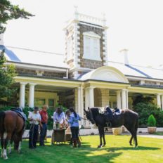 horse riding holiday Barossa Valley
