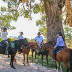 horse riding holiday Barossa Valley