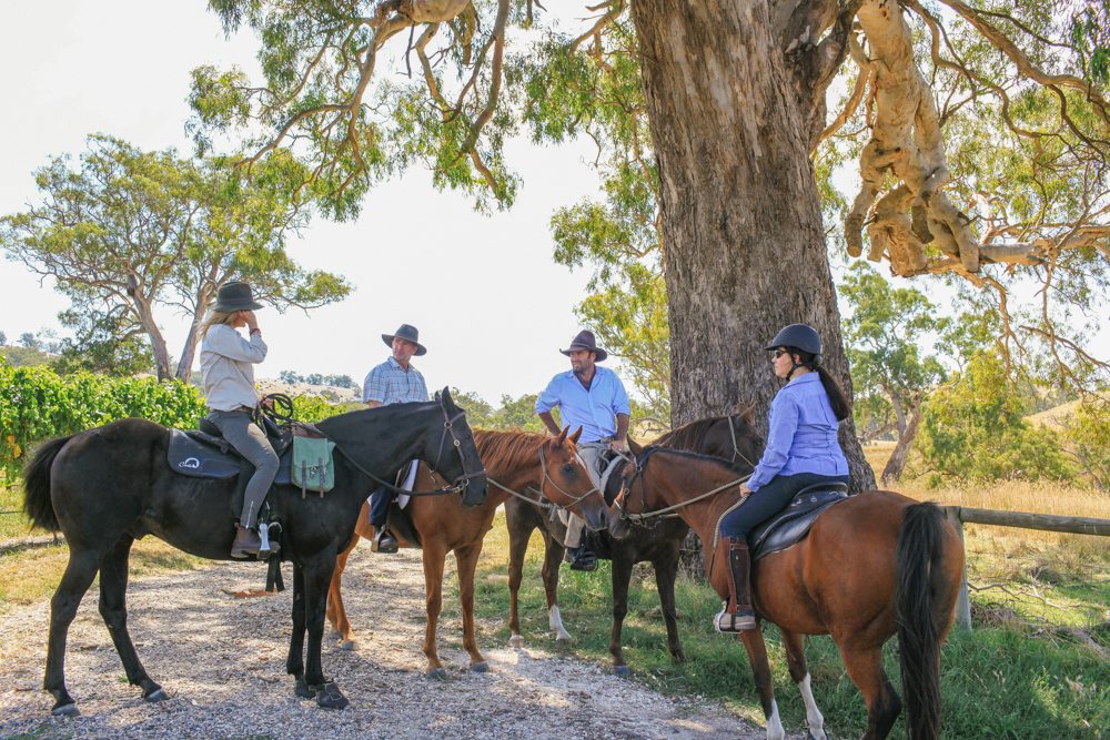 horse riding holiday Barossa Valley
