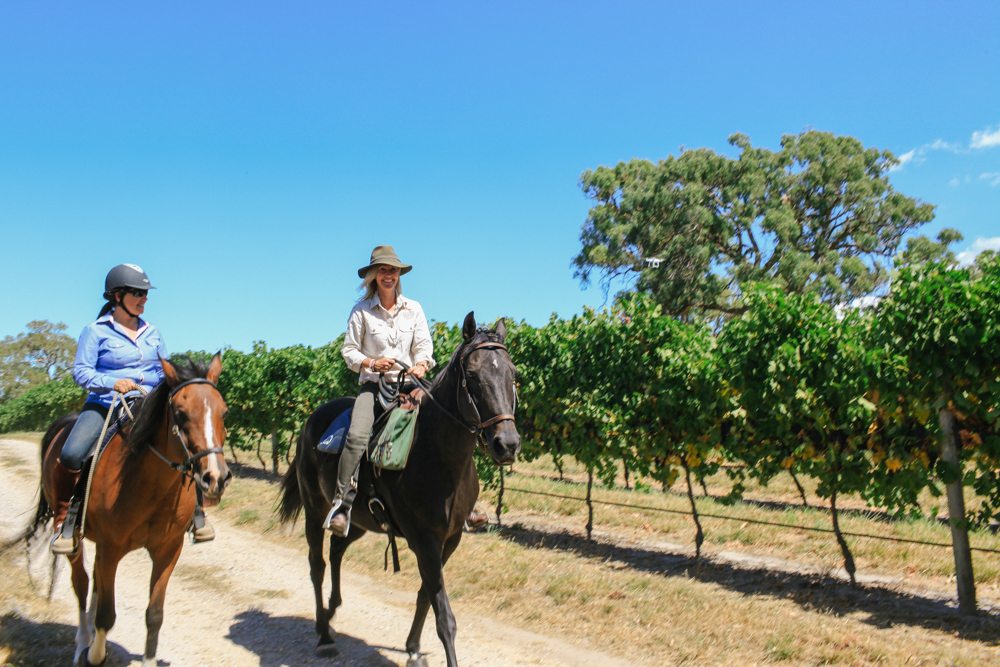 horse riding holiday Barossa Valley
