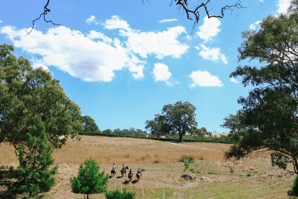horse riding holiday Barossa Valley
