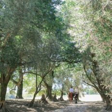 horse riding holiday Barossa Valley