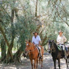 horse riding holiday Barossa Valley