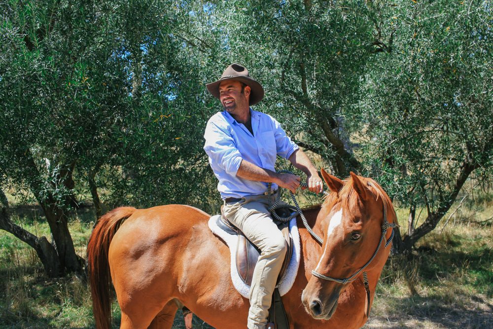 horse riding holiday Barossa Valley