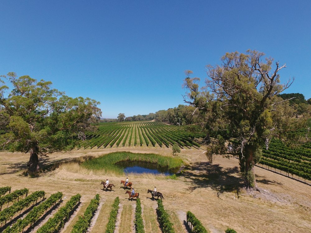 horse riding holiday Barossa Valley