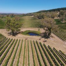 horse riding holiday Barossa Valley