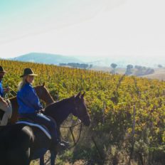 horse riding holiday Barossa Valley