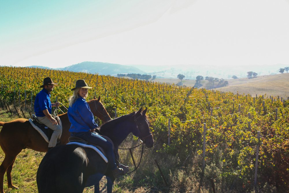 horse riding holiday Barossa Valley