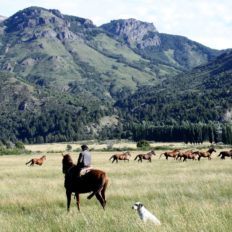 horse riding holiday patagonia, argentina