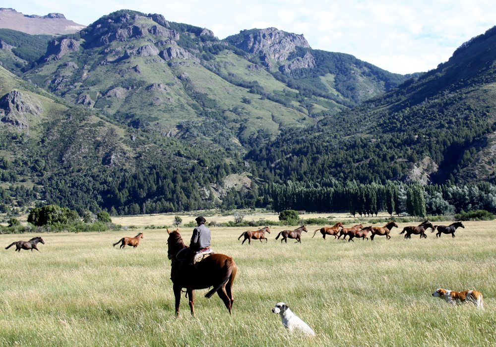 horse riding holiday patagonia, argentina