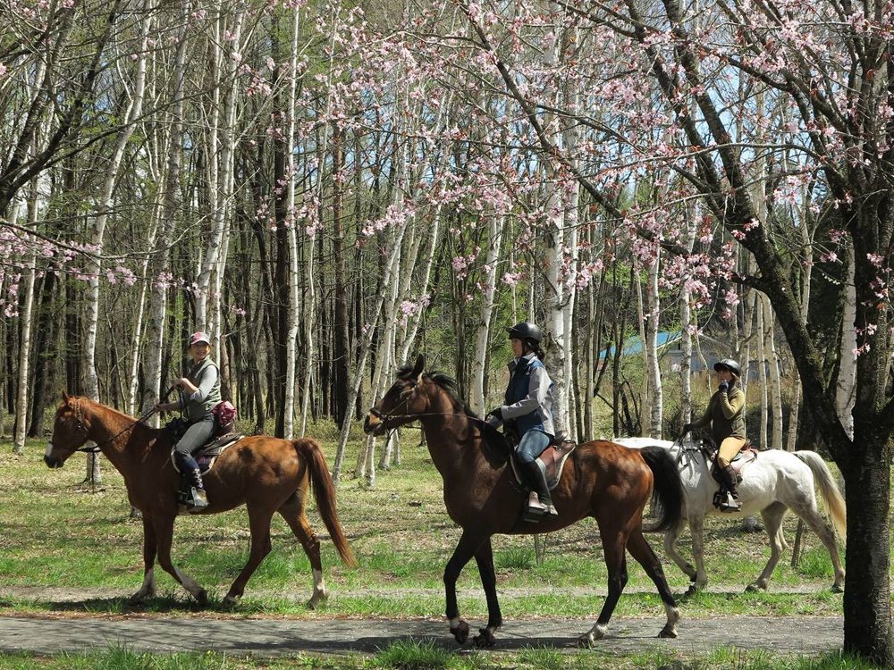 Japan Horse Riding Holidays and Safaris