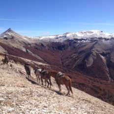 Horse riding holiday Patagonia