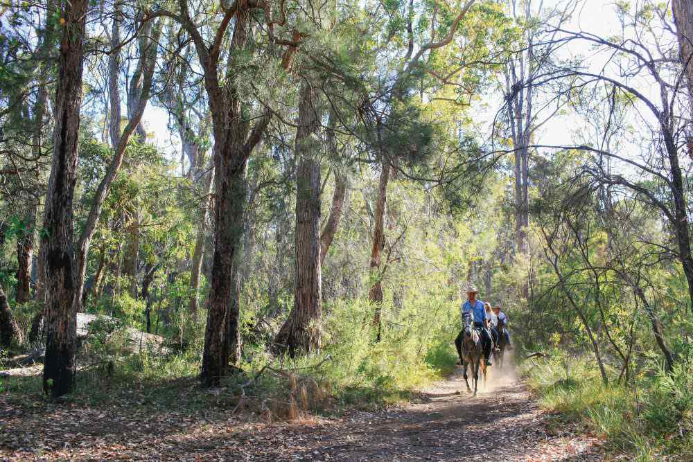 The Margaret River Ride Horse Riding Holidays and Safaris
