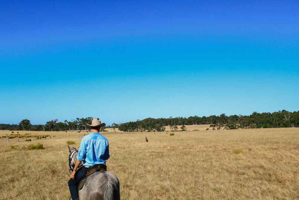 The Margaret River Ride Horse Riding Holidays and Safaris