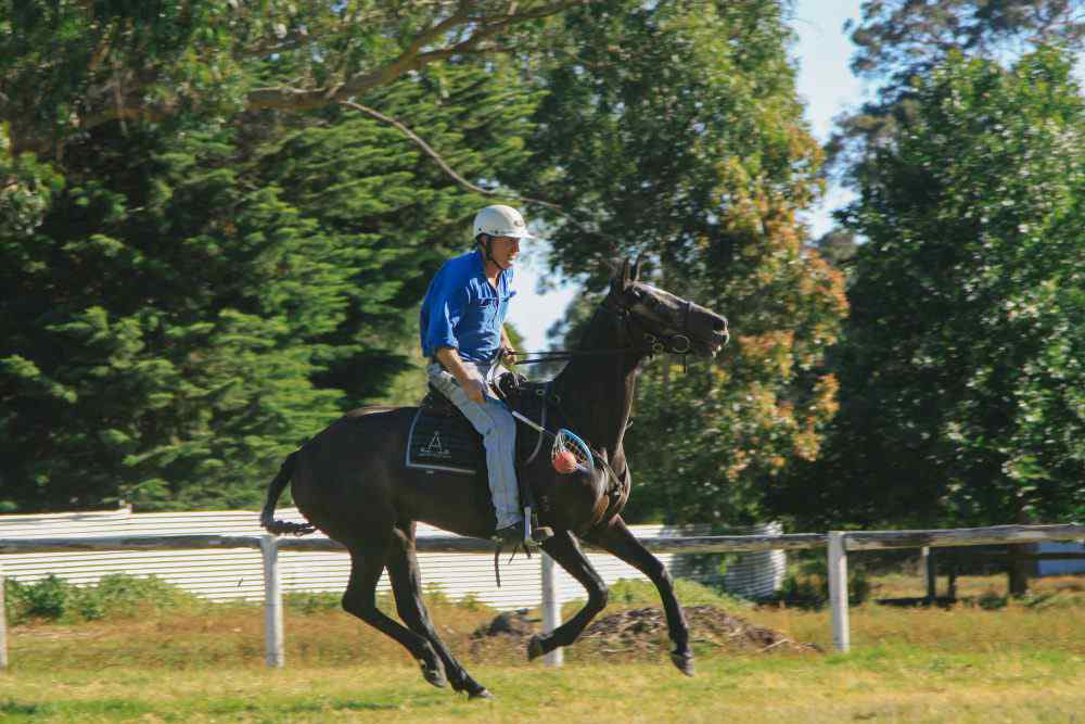 The Margaret River Ride Horse Riding Holidays and Safaris