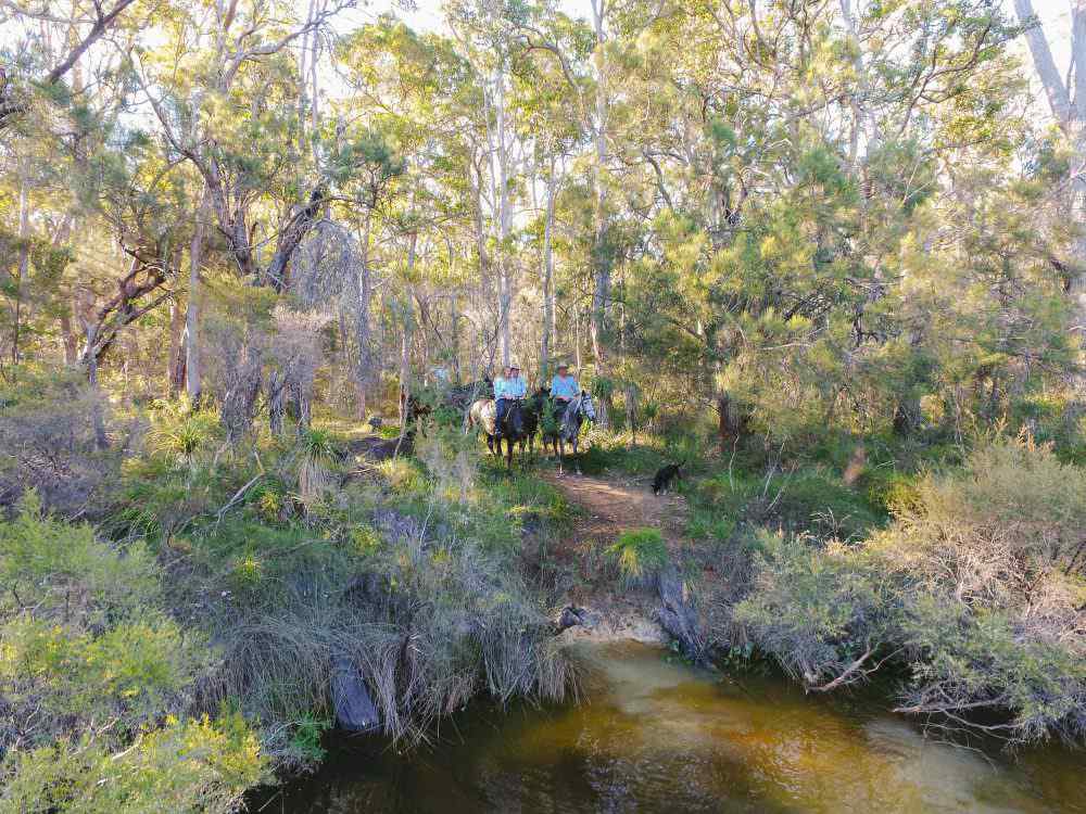 The Margaret River Ride Horse Riding Holidays and Safaris