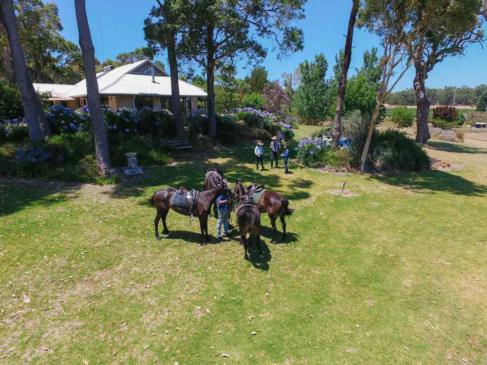 The Margaret River Ride Horse Riding Holidays and Safaris