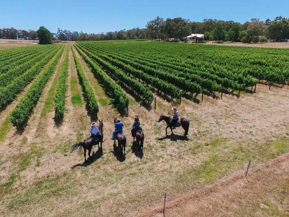 The Margaret River Ride Horse Riding Holidays and Safaris
