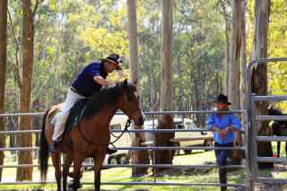 globetrotting guides of tassie tiger trail