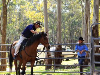 globetrotting guides of tassie tiger trail