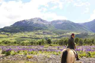 globetrotting guide natalia gorrono