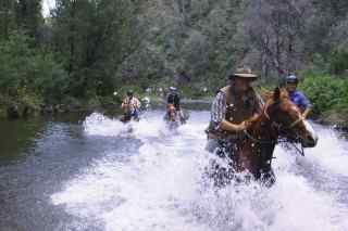 globetrotting guide michael watson