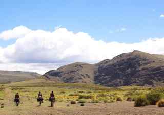 travel insurance for horse riding holidays