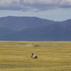 horse riding holiday mongolia