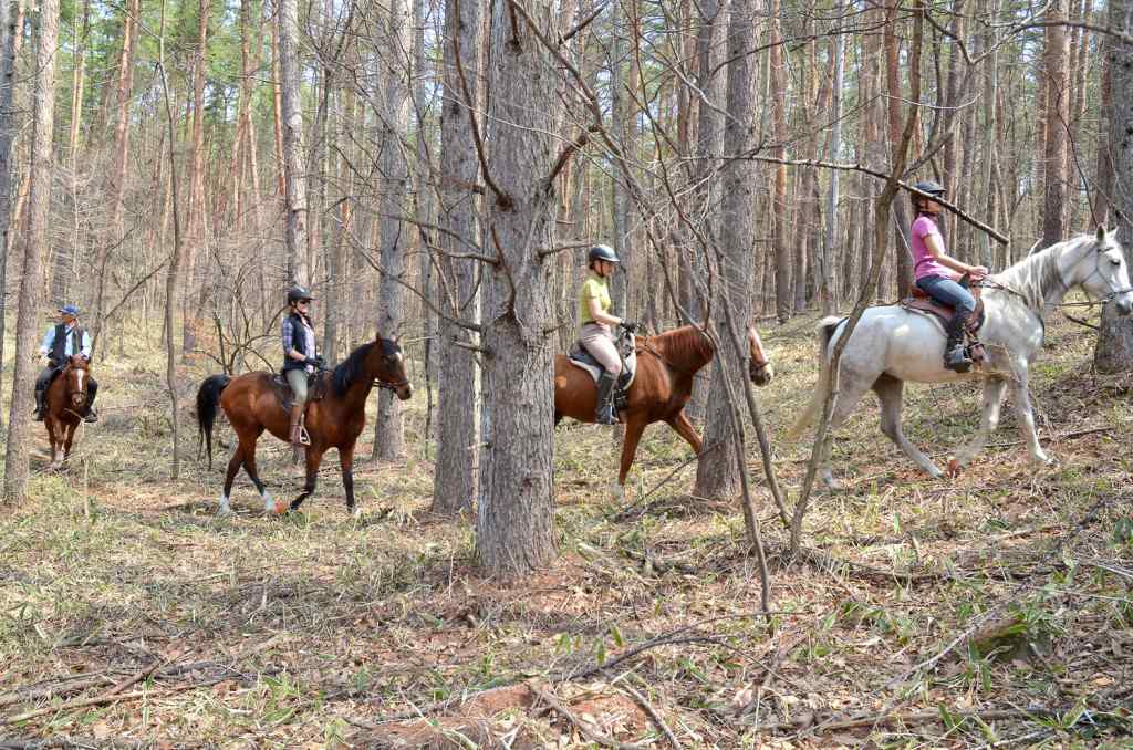 HORSE RIDING HOLIDAY JAPAN Horse Riding Holidays and Safaris