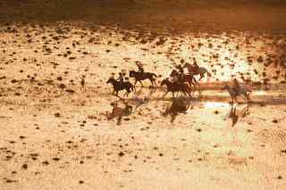horse riding safari okavango delta