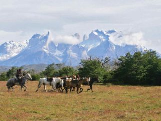 Horse riding holiday torres del paine, chile