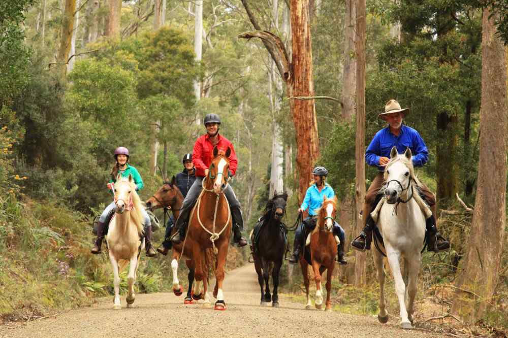 Tasmania, Australia Globe Trotting Horse Riding Holidays and Safaris