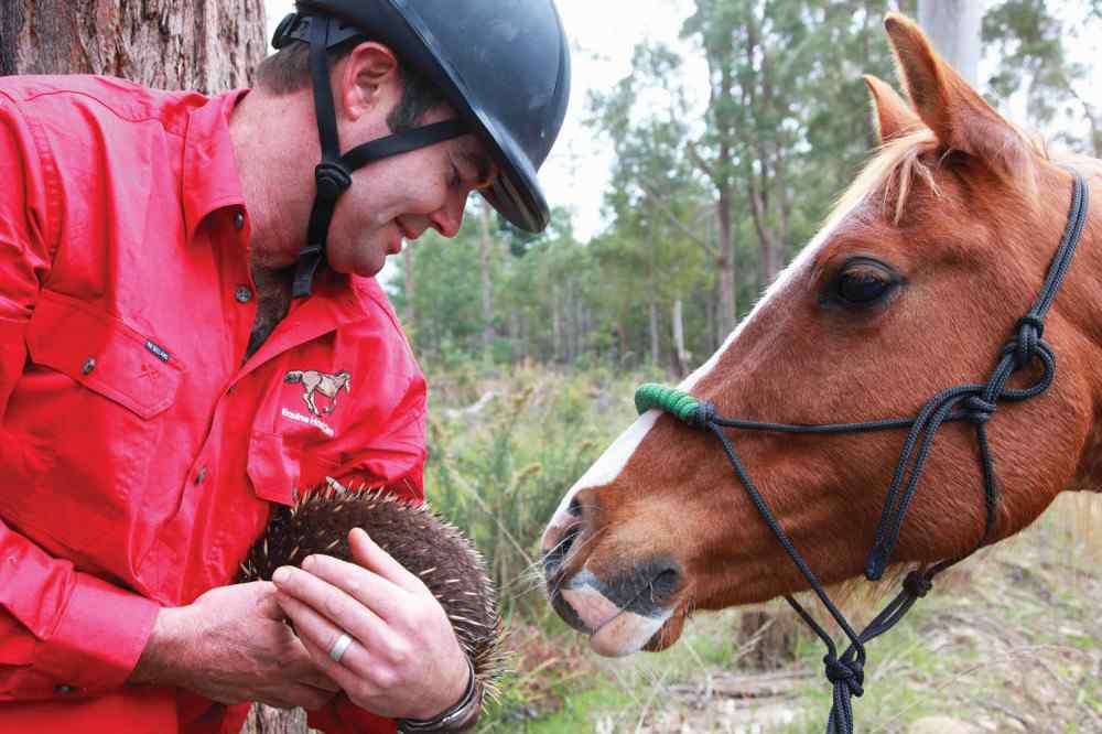 Tasmania, Australia Globe Trotting Horse Riding Holidays and Safaris