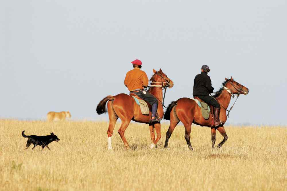 Masai Mara, Kenya Globetrotting Horse Riding Holidays and Safaris