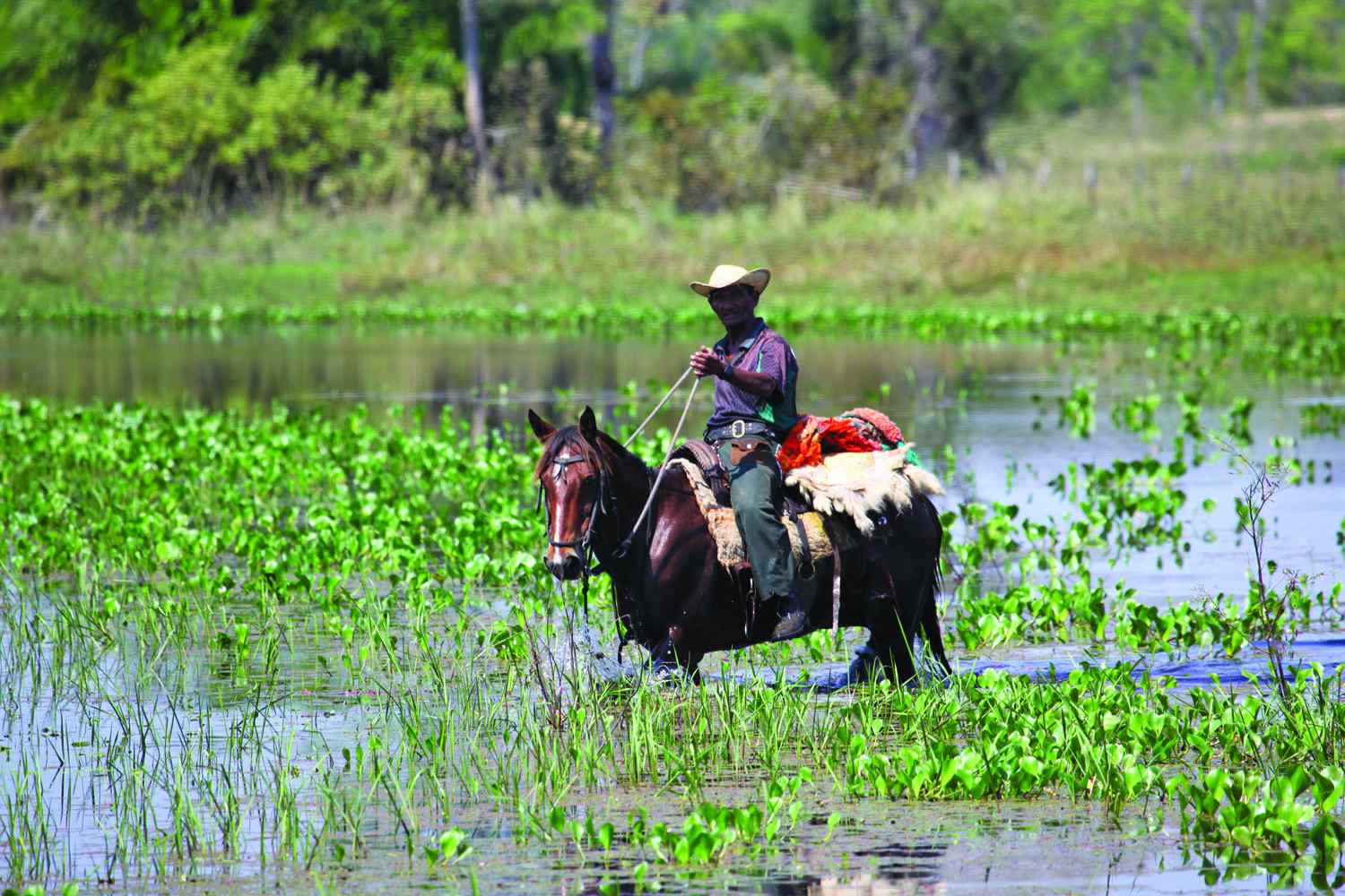 horse riding holiday pantanal Horse Riding Holidays and Safaris