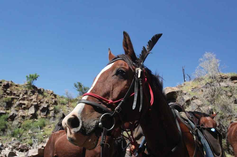 Namibia, Africa Horse Riding Holidays and Safaris